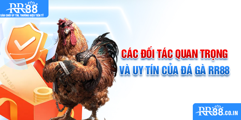 Các đối tác quan trọng và uy tín của đá gà RR88