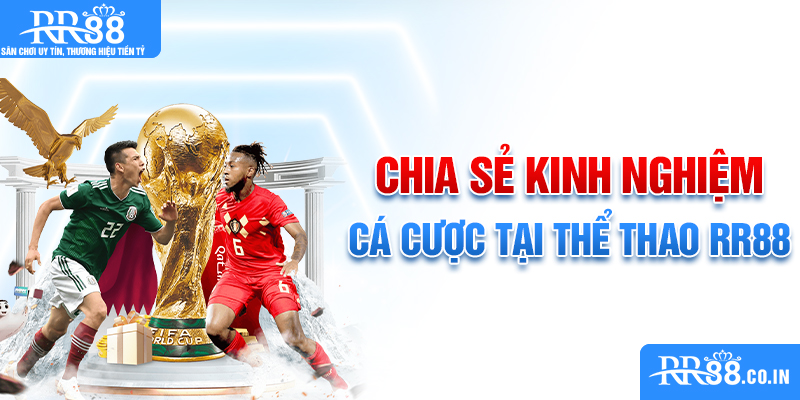 Chia sẻ kinh nghiệm cá cược tại thể thao RR88